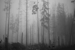 The Future of Urban Transportation: Trends to Watch